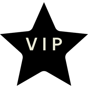 Black star with letters VIP in the middle - a VIP club is  a long term incentive plan example