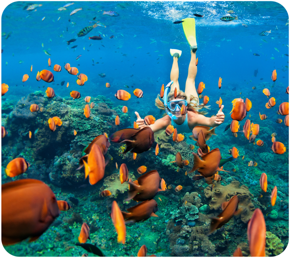 Woman snorkeling among the fish with a reef below